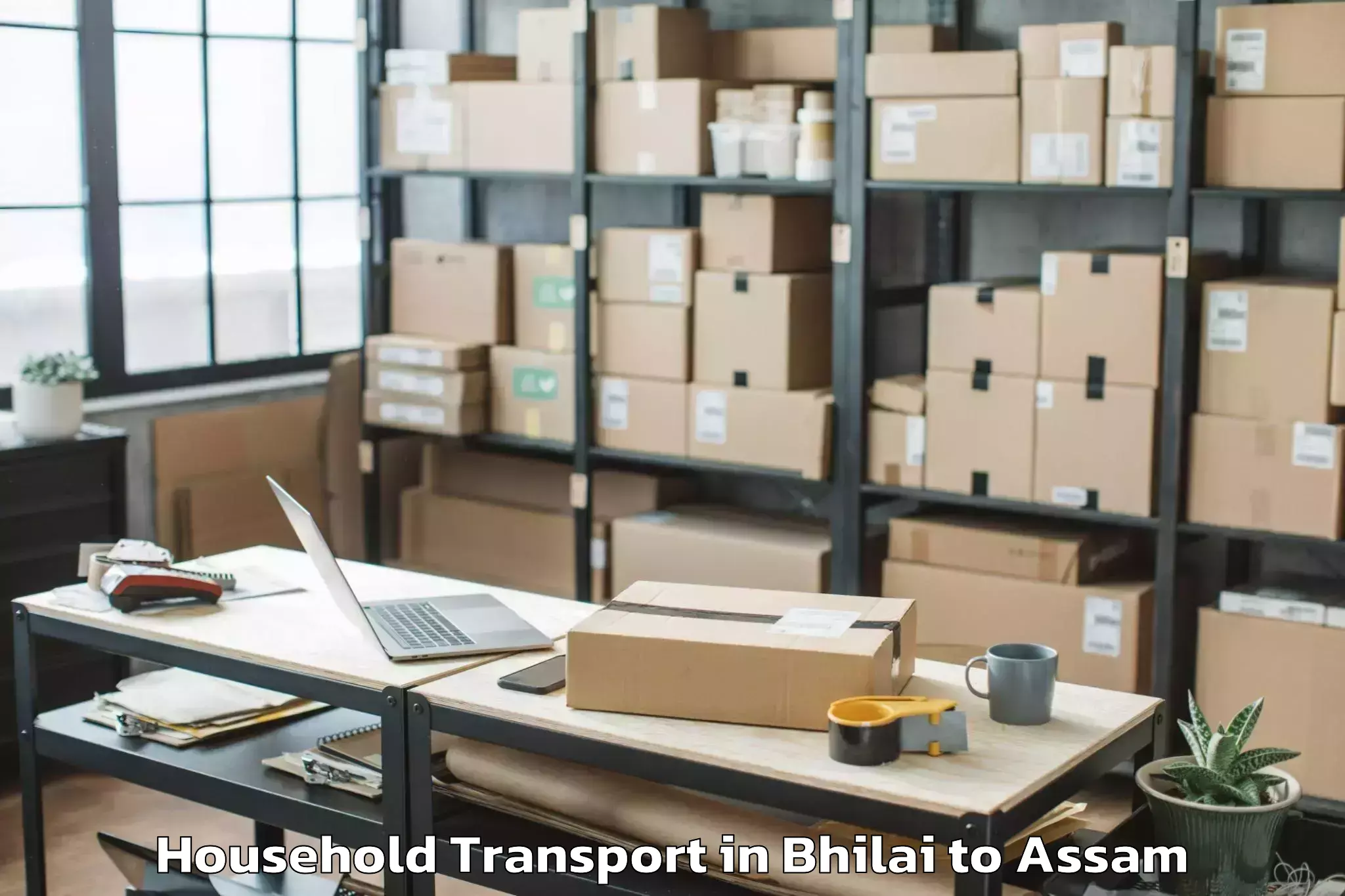 Quality Bhilai to Balapara Household Transport